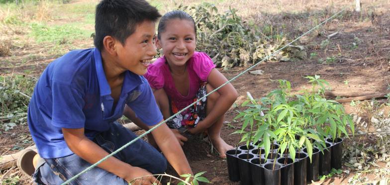 kinderen planten boompjes
